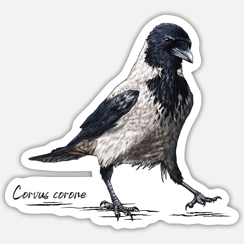 Nebelkrähe - Corvus corone Sticker Größe S (10 x 10 cm)