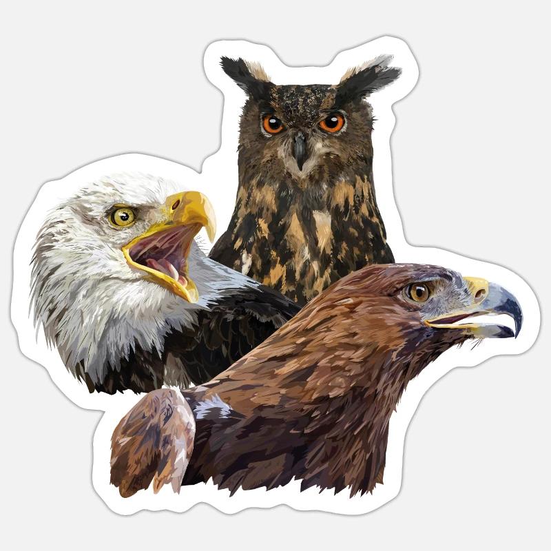 Owl and eagles - Sticker size S (10 x 10 cm) - white matte