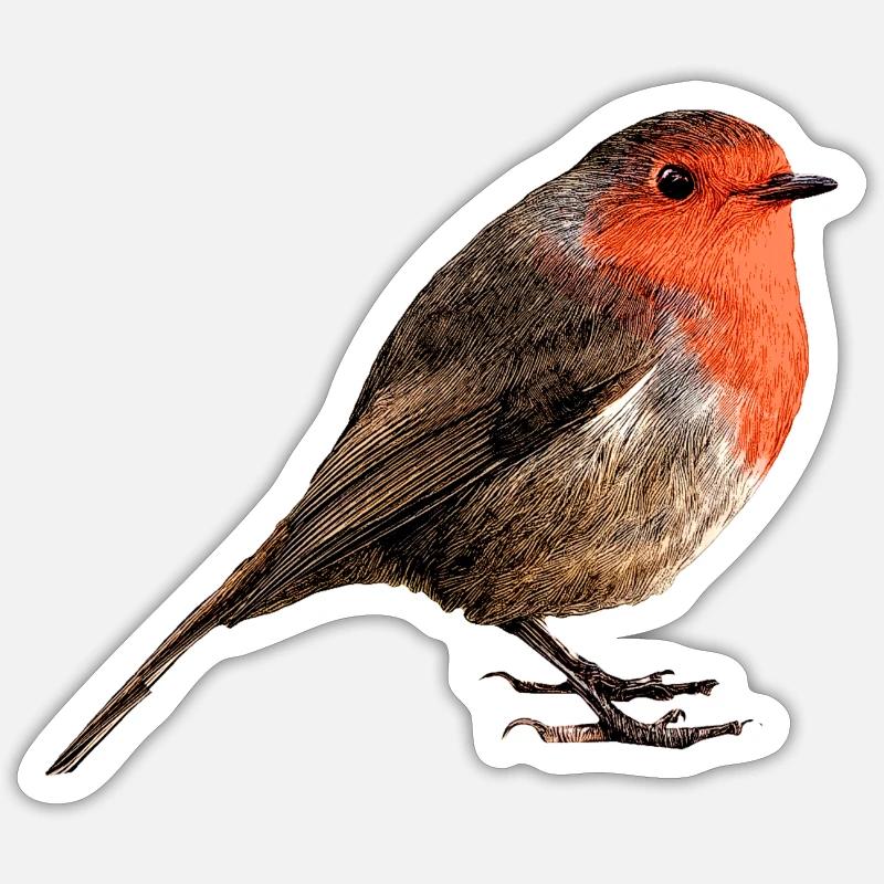 Rouge gorge Sticker taille S (10 x 10 cm)