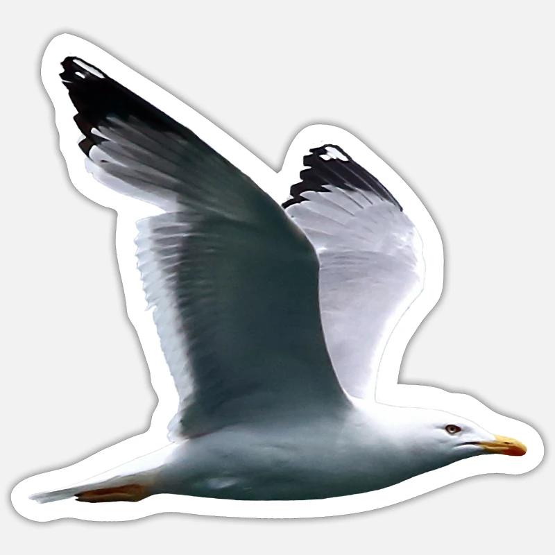 Möve - Sticker Größe S (10 x 10 cm) - Mattweiß