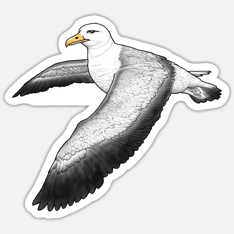 Albatross fliegend - Sticker Größe S (10 x 10 cm) - Mattweiß