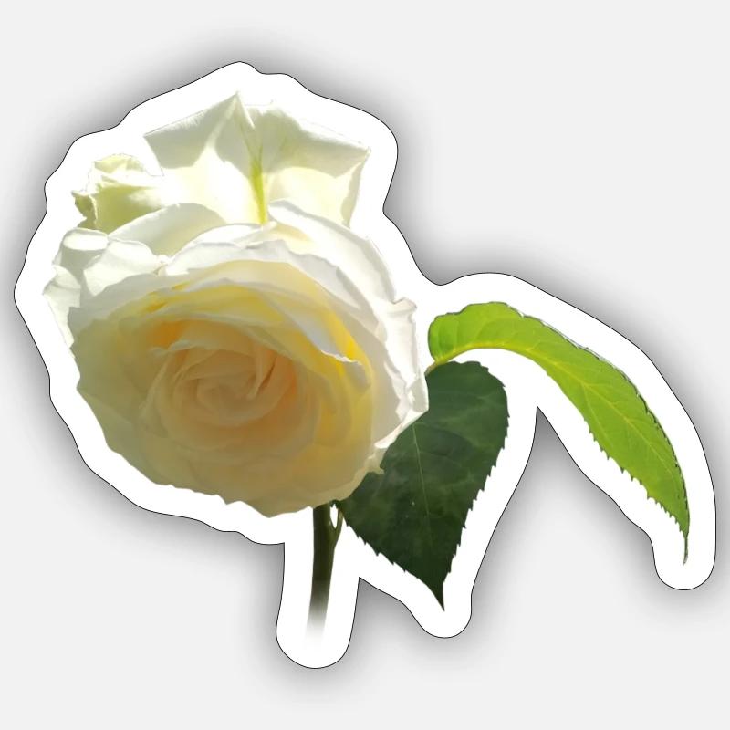 WEISSE ROSE - Sticker Größe S (10 x 10 cm) - Mattweiß