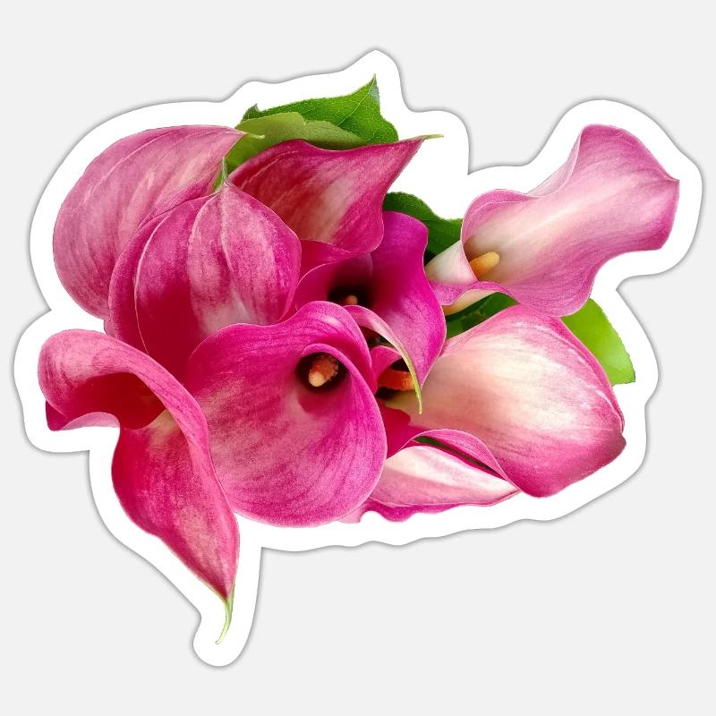 Calla lily - Sticker size S (10 x 10 cm) - white matte