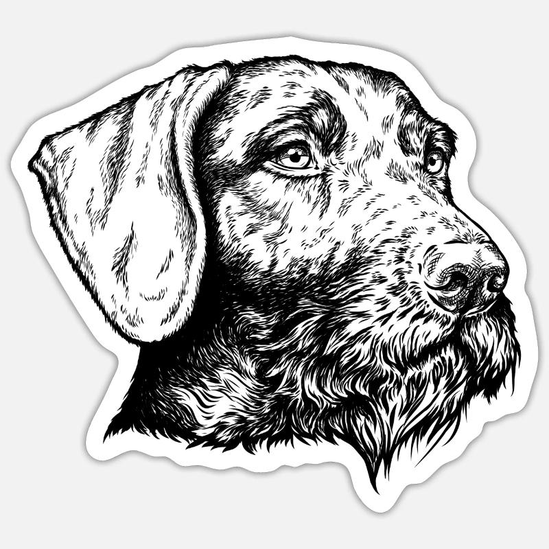 German Wirehaired Portrait Sticker size S (10 x 10 cm)