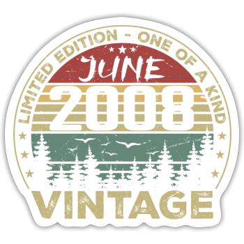 Gift June 2008 Birthday June 2008 June 2008 - Sticker size S (10 x 10 cm) - white matte - Front