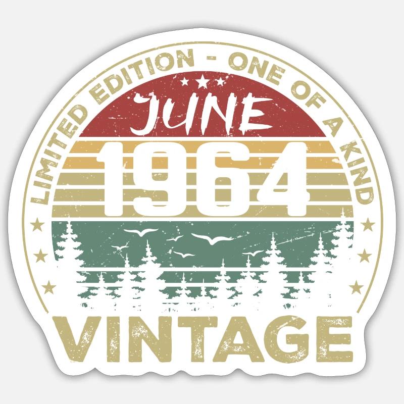Geschenk Juni 1964 Geburtstag Juni 1964 Juni 1964 - Sticker Größe S (10 x 10 cm) - Mattweiß