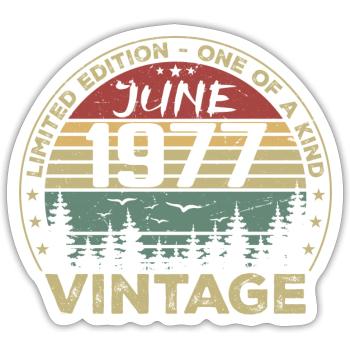 Gift June 1977 Birthday June 1977 June 1977 - Sticker size S (10 x 10 cm) - white matte - Front