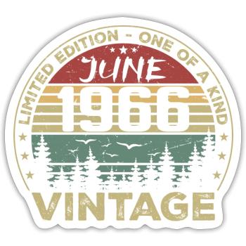 Cadeau Juin 1966 Anniversaire Juin 1966 Juin 1966 - Sticker taille S (10 x 10 cm) - blanc mat - Devant