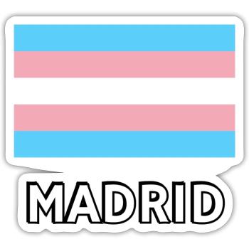 Trans Pride Flag Madrid - Sticker size S (10 x 10 cm) - white matte - Front