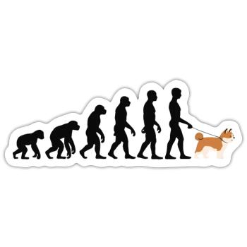 Akita - Sticker taille S (10 x 10 cm) - blanc mat - Devant