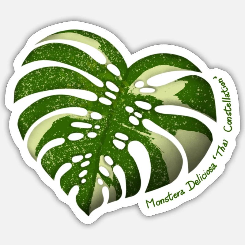 Monstera Thaï Constellation Sticker taille S (10 x 10 cm)