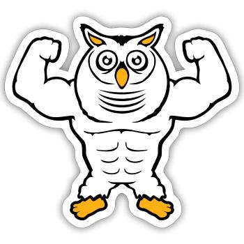 Eule Bodybuilder Muskeln Bizeps Posen Gym Rat Cool - Sticker Größe S (10 x 10 cm) - Mattweiß - Vorne