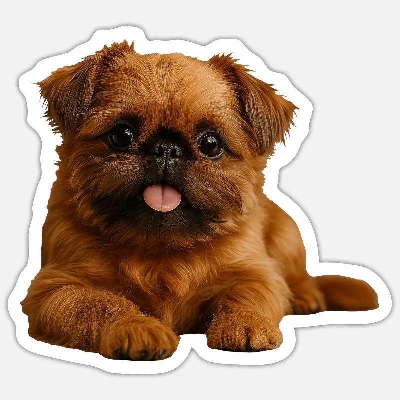 Belgian Dwarf Griffon Brussels Griffon - Sticker size S (10 x 10 cm) - white matte