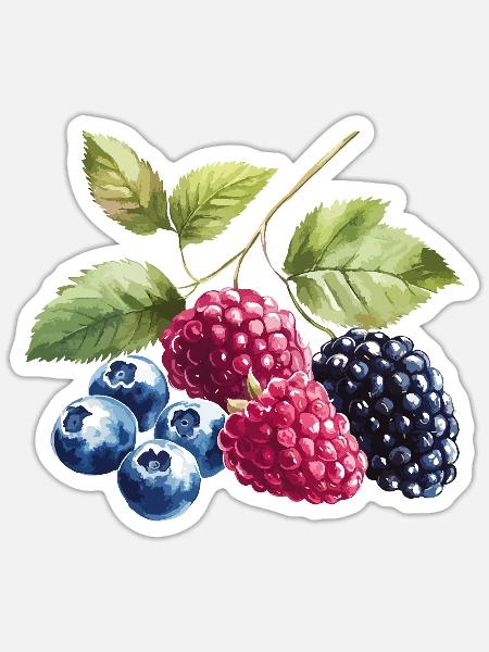 Wildbeeren Beeren Blaubeere Himbeere Brombeere - Sticker Größe S (10 x 10 cm) - Mattweiß