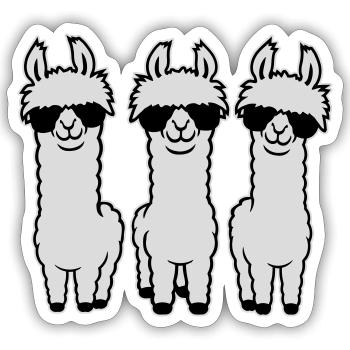 Drei Coole Lamas Reihe Sonnenbrille Lustig Tier - Sticker Größe S (10 x 10 cm) - Mattweiß - Vorne