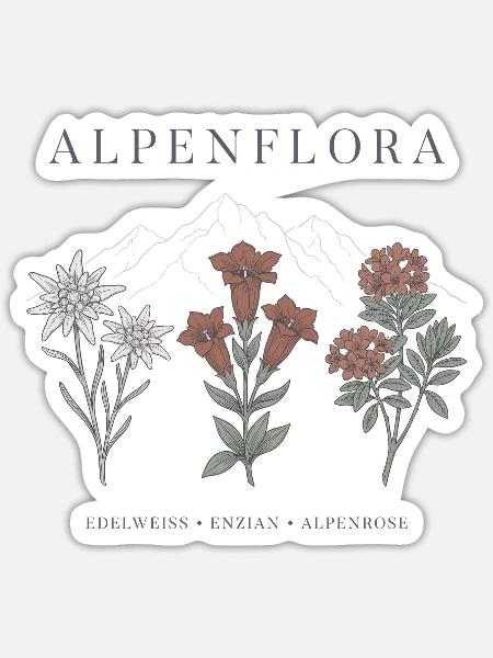 Alpenflora Edelweiss Enzian Alpenrose Berge - Sticker Größe S (10 x 10 cm) - Mattweiß