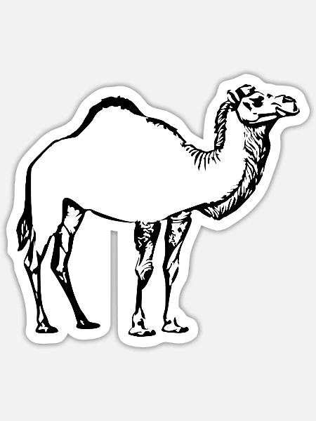 Kamel schwarz Geschenk - Sticker Größe S (10 x 10 cm) - Mattweiß