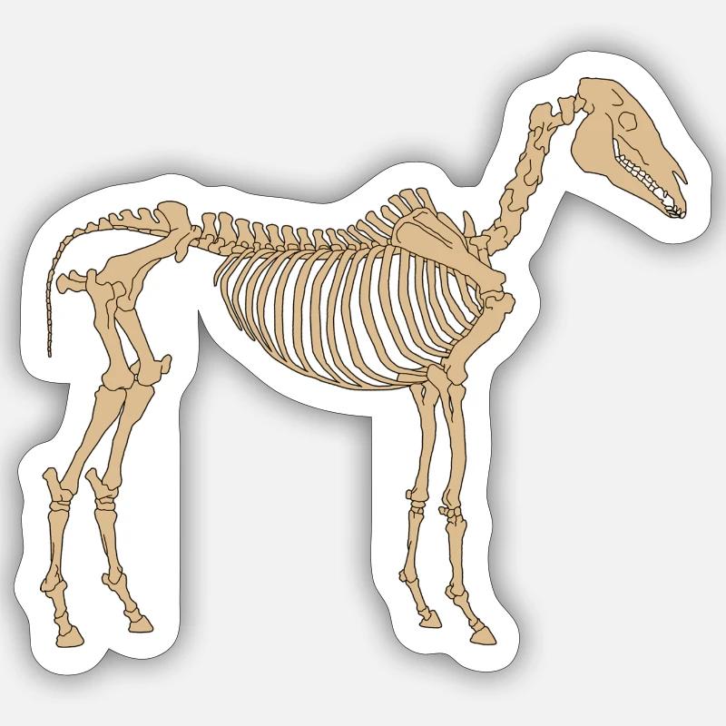 Paläolithisches Skelettpferd - Sticker Größe S (10 x 10 cm) - Mattweiß