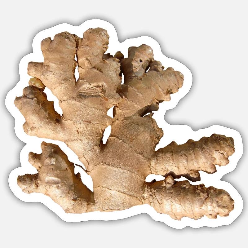 Gingembre Sticker taille S (10 x 10 cm)
