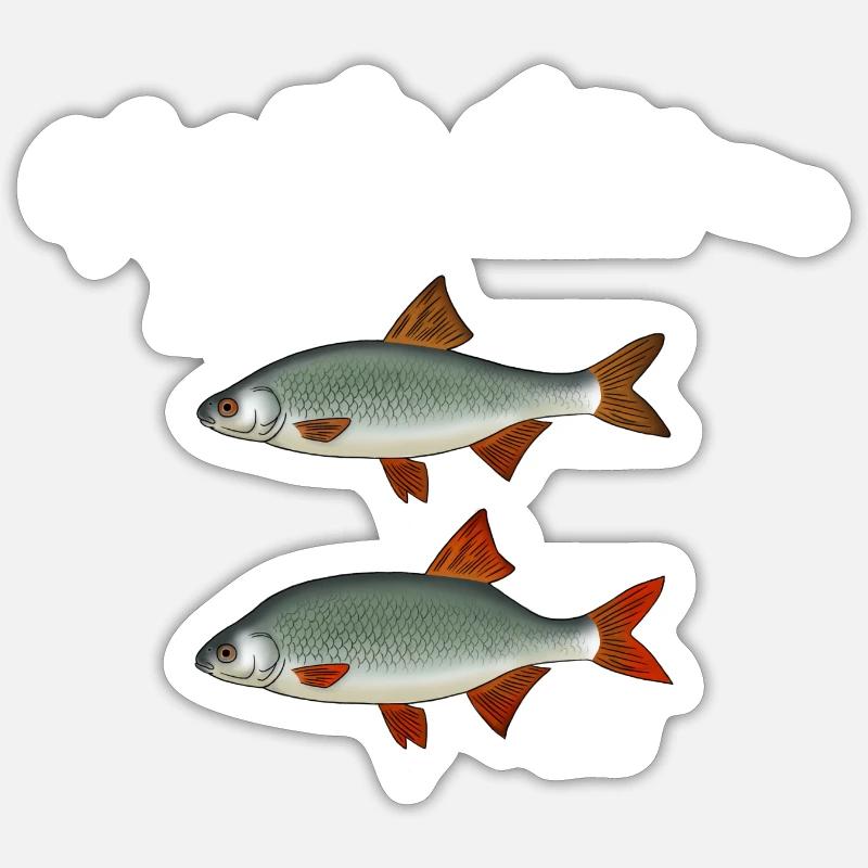 Roach Red Feather Différence Pêche - Sticker taille S (10 x 10 cm) - blanc mat