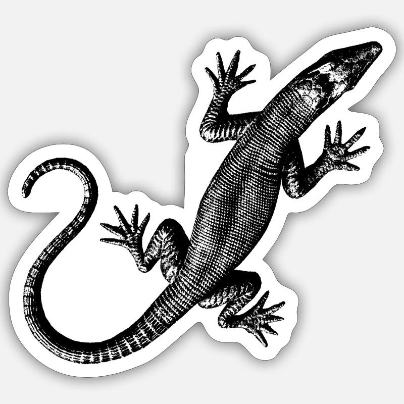 Grafik einer Eidechse - Sticker Größe S (10 x 10 cm) - Mattweiß