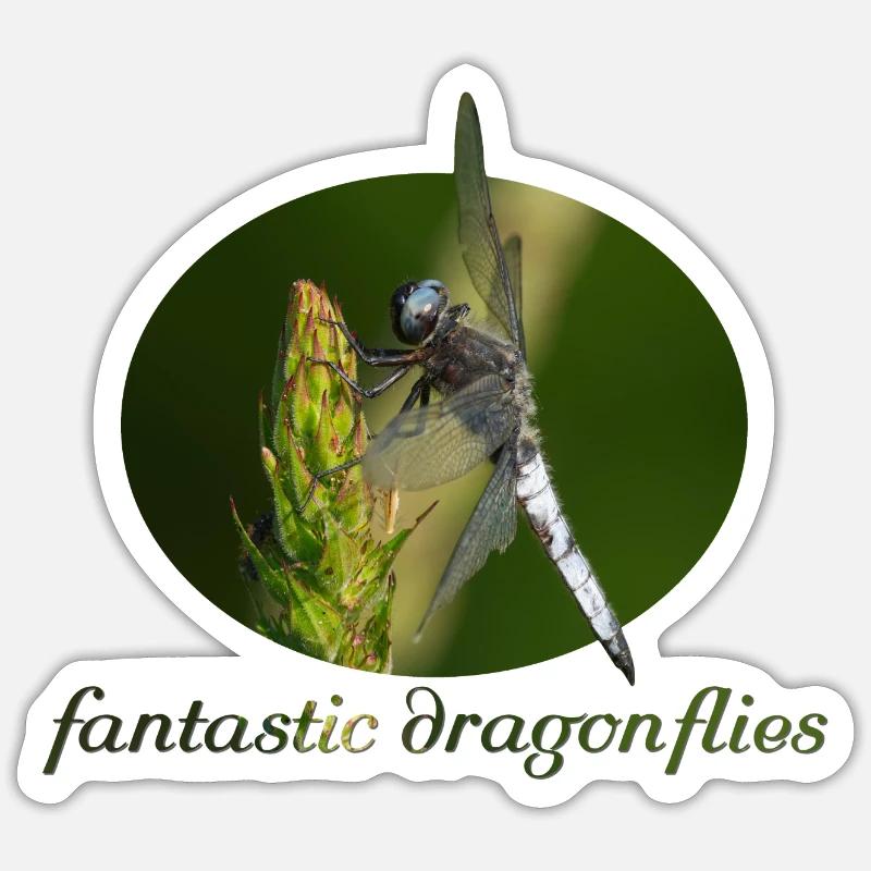Libelle - Sticker Größe S (10 x 10 cm) - Mattweiß