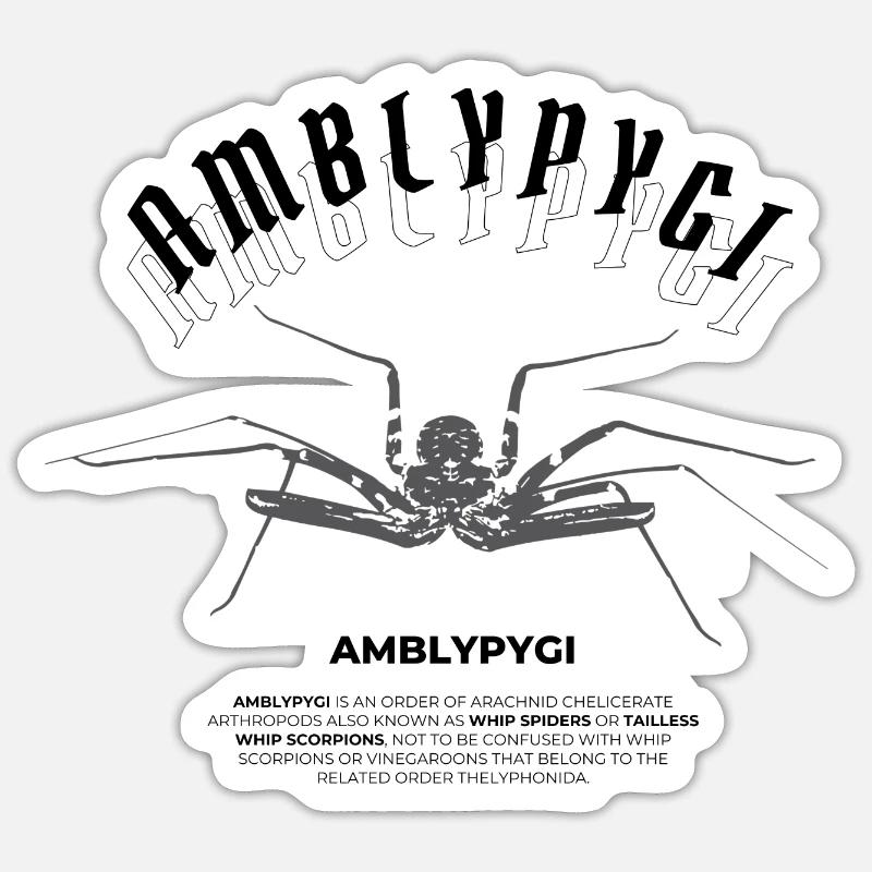 Geißelspinne - Amblypygi Sticker Größe S (10 x 10 cm)