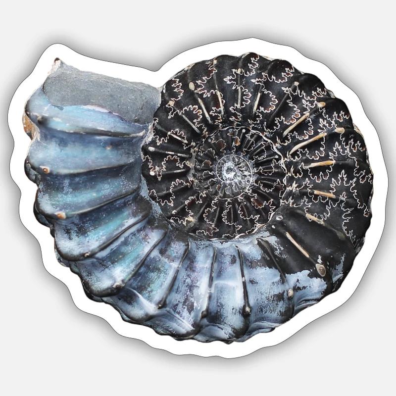 Ammonit mit wunderschöner Lobenlinie - Sticker Größe S (10 x 10 cm) - Mattweiß