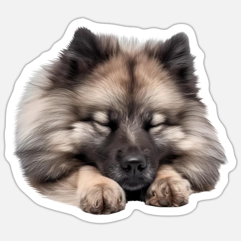 Keeshond - Sticker size S (10 x 10 cm) - white matte