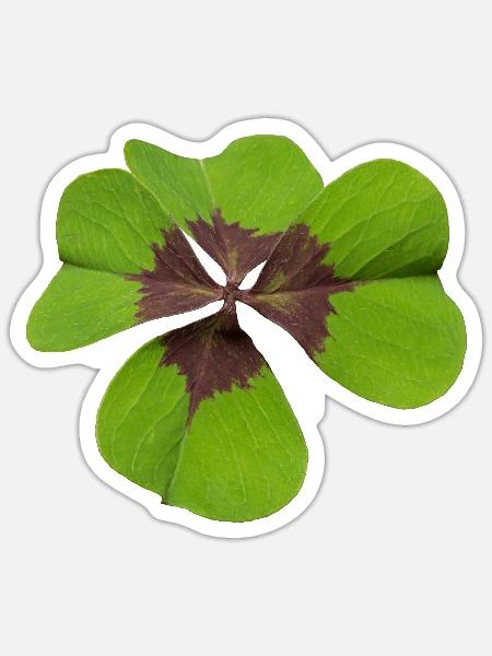 Vierblättriges Kleeblatt oder Glücksklee Design - Sticker Größe S (10 x 10 cm) - Mattweiß
