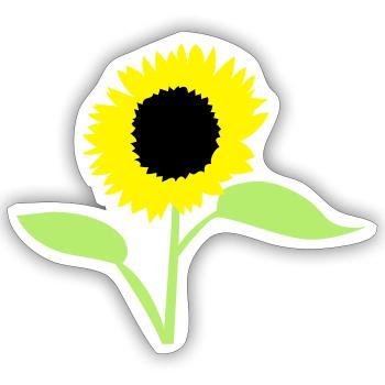Sommer-Sonnenblumengelb mit offenen Blätter - Sticker Größe S (10 x 10 cm) - Mattweiß - Vorne