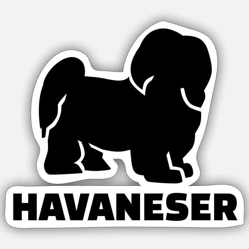 Havaneser - Sticker Größe S (10 x 10 cm) - Mattweiß