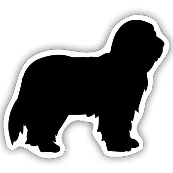 Bearded Collie - Sticker taille S (10 x 10 cm) - blanc mat - Devant