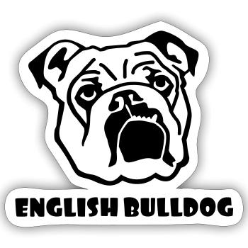 Englische Bulldogge - Sticker Größe S (10 x 10 cm) - Mattweiß - Vorne