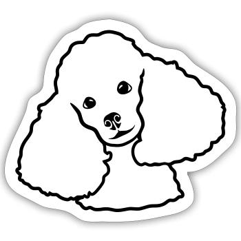 Pudel - Sticker Größe S (10 x 10 cm) - Mattweiß - Vorne