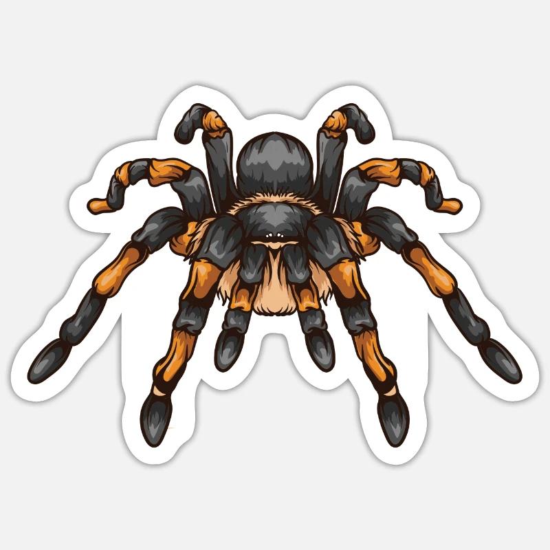 Tarantula spider wolf spider weaving spider - Sticker size S (10 x 10 cm) - white matte