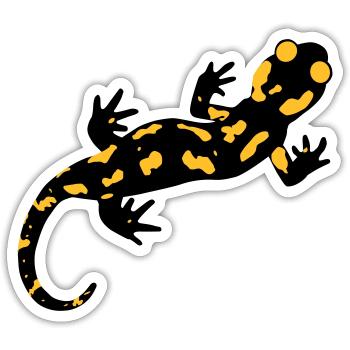 SALAMANDRE DE FEU SOLO - Sticker taille S (10 x 10 cm) - blanc mat - Devant