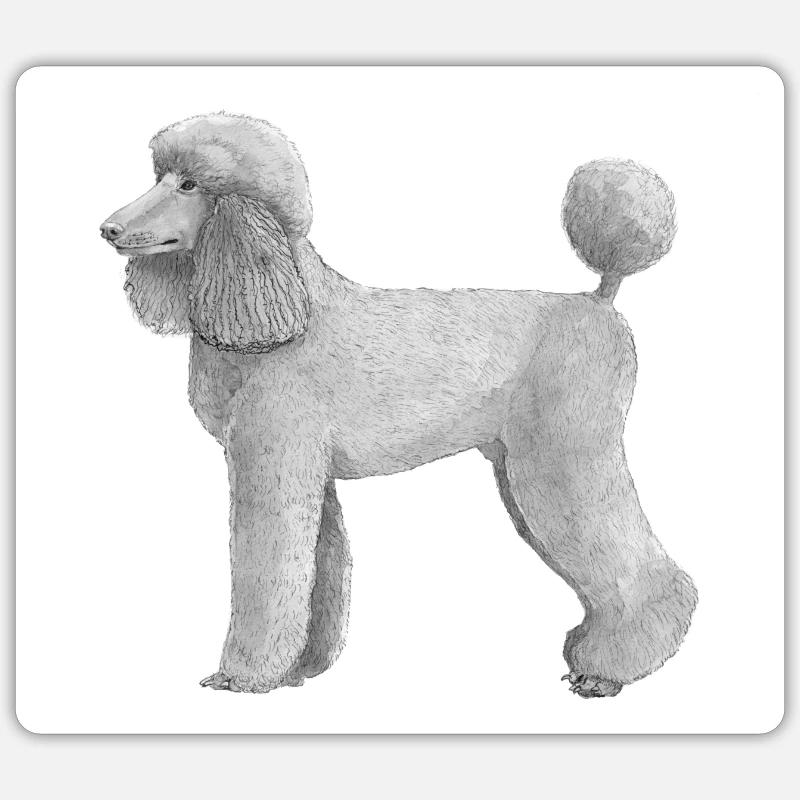 Autocollant standard Caniche - Sticker taille S (10 x 10 cm) - blanc mat