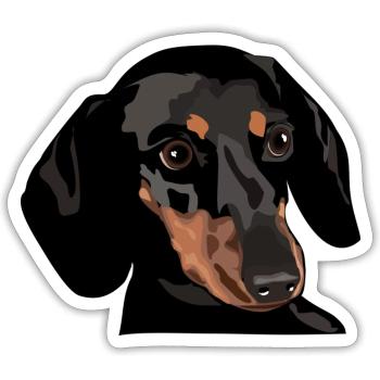 Tête de teckel - Sticker taille S (10 x 10 cm) - blanc mat - Devant