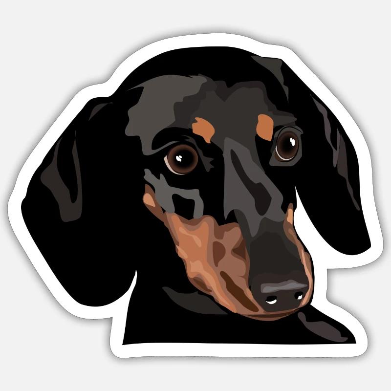 Tête de teckel - Sticker taille S (10 x 10 cm) - blanc mat
