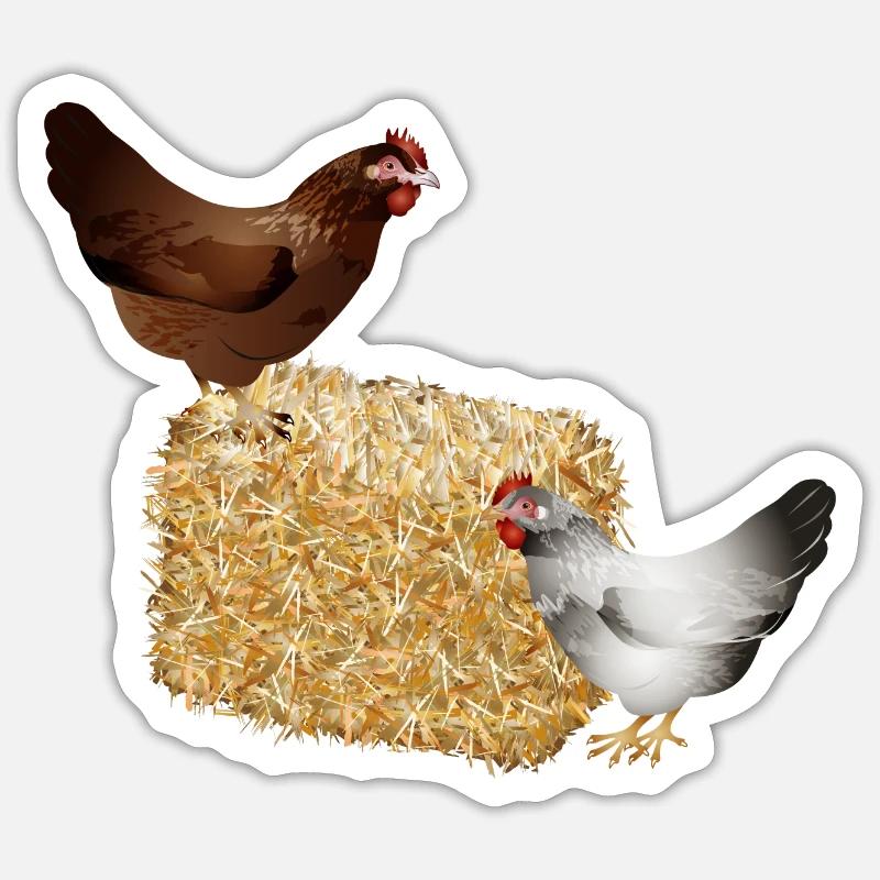 two chickens on a bale of straw - Sticker size S (10 x 10 cm) - white matte