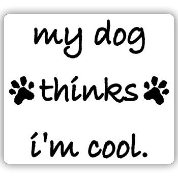 Dog thinks in the cool - Sticker size S (10 x 10 cm) - white matte - Front