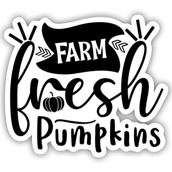 Farm fresh pumpkins 01b - Sticker size S (10 x 10 cm) - white matte - Front