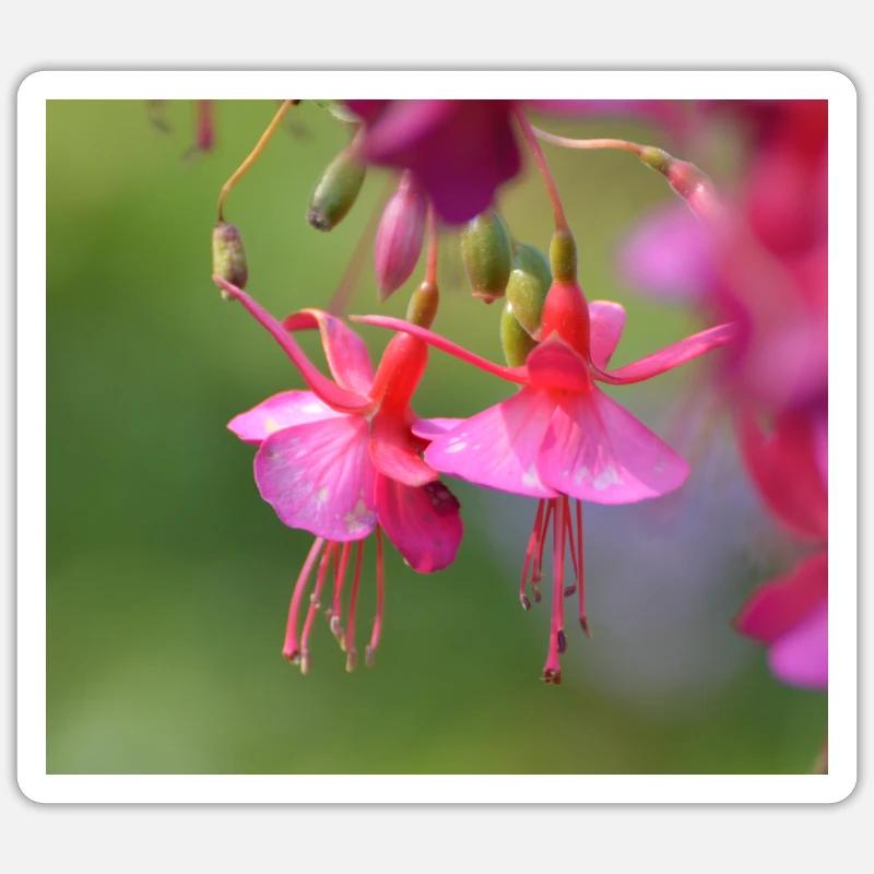 rosa blume Sticker Größe S (10 x 10 cm)