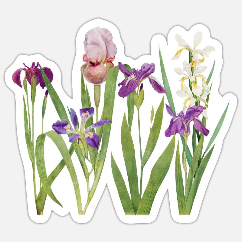 Wilde Iris und Orchidee Botanisches Design Sticker Größe S (10 x 10 cm)