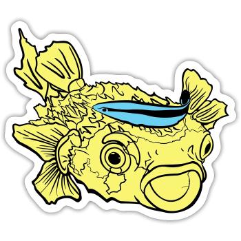 Hedgehog Fish Puffer Fish Cleaner Wlabse - Sticker taille S (10 x 10 cm) - blanc mat - Devant