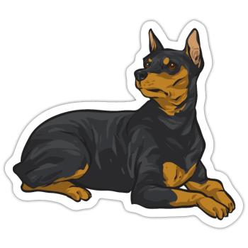 Miniature Pinscher Rehpinscher Min Pin Dog - Sticker size S (10 x 10 cm) - white matte - Front
