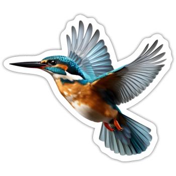 Eisvogel Und Kingfisher Design Für Vogelfreunde - Sticker Größe S (10 x 10 cm) - Mattweiß - Vorne