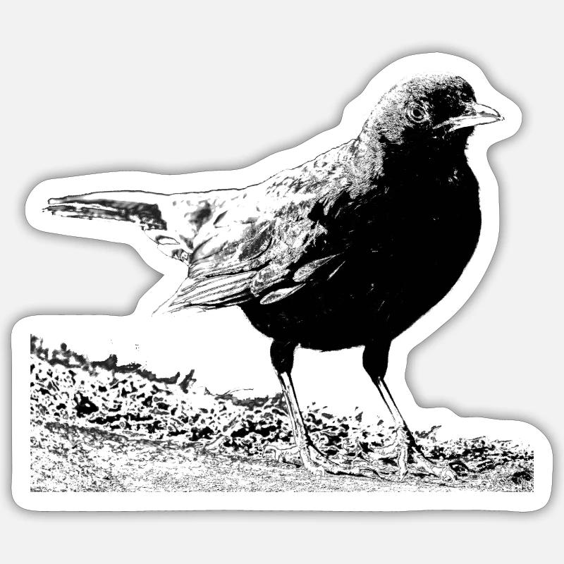 Amsel, A730357 - Sticker Größe S (10 x 10 cm) - Mattweiß