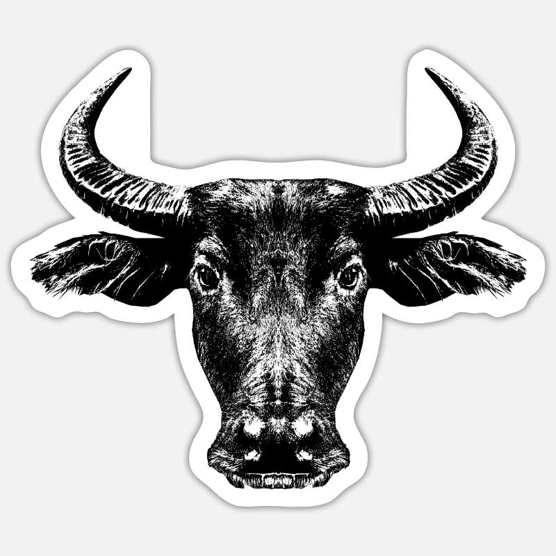 Buffle d’eau / Bubalus arnee Sticker taille S (10 x 10 cm)